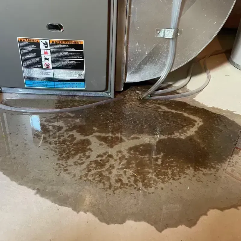 Appliance Leak Cleanup in Doniphan County, KS